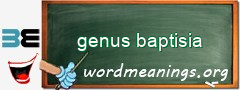 WordMeaning blackboard for genus baptisia